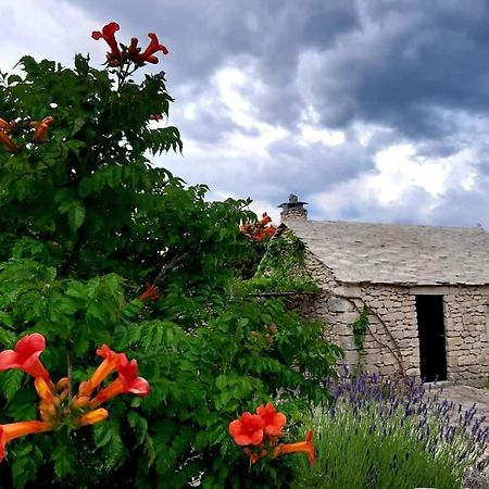 Country House Hacienda Selca  Bagian luar foto