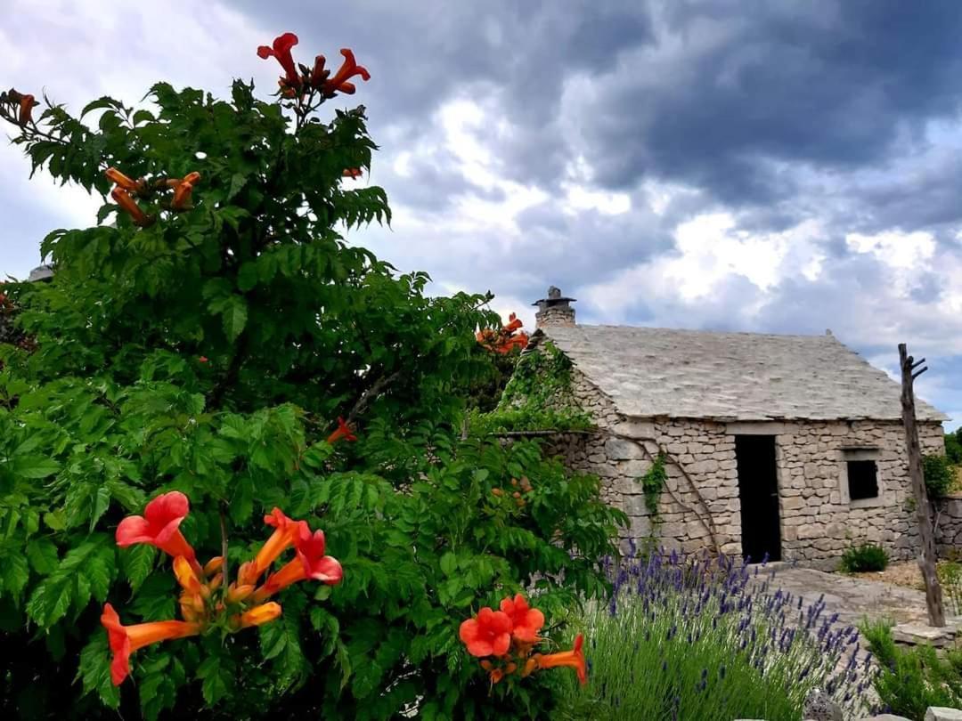 Country House Hacienda Selca  Bagian luar foto